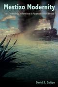 Mestizo Modernity