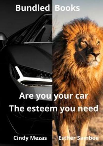 Bundled Books: Are You Your Car? | The Esteem You Need