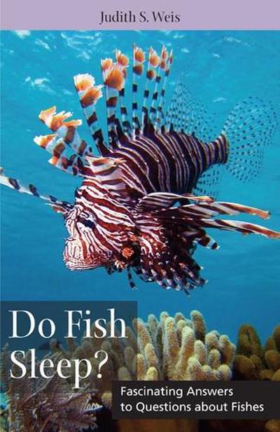 Do Fish Sleep?