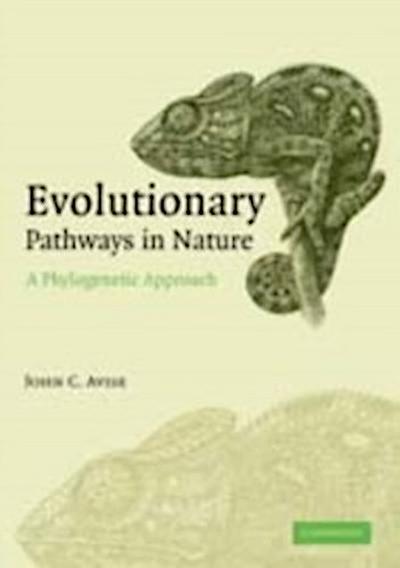 Evolutionary Pathways in Nature