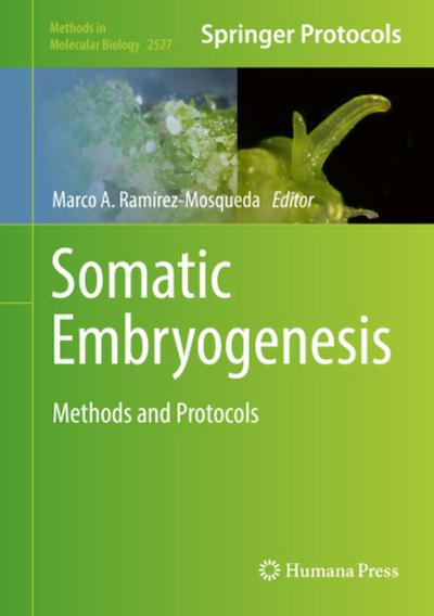 Somatic Embryogenesis