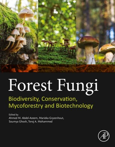 Forest Fungi
