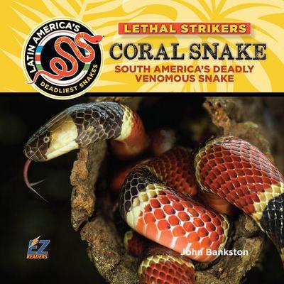 Coral Snake: South America’s Deadly Venomous Snake