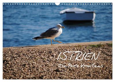 ISTRIEN - Die Perle Kroatiens (Wandkalender 2026 DIN A3 quer), CALVENDO Monatskalender
