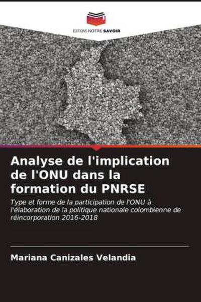 Analyse de l’implication de l’ONU dans la formation du PNRSE