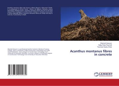 Acanthus montanus fibres in concrete