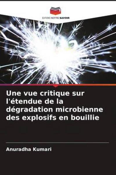 Une vue critique sur l’étendue de la dégradation microbienne des explosifs en bouillie