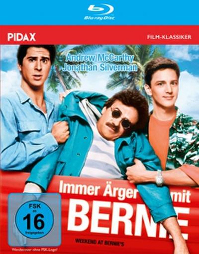 Immer Ärger mit Bernie