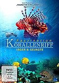 Faszination Korallenriff - Jäger & Gejagte