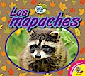 Los mapaches