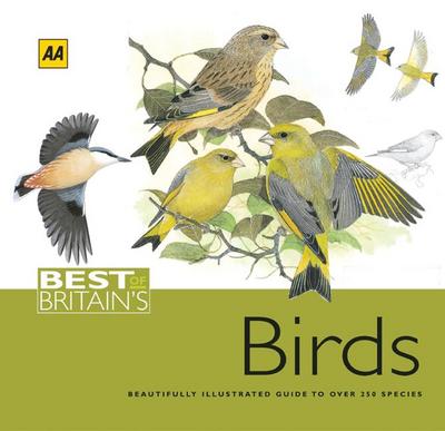 Best of Britain’s Birds