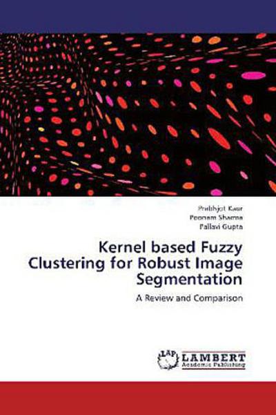 Kernel based Fuzzy Clustering for Robust Image Segmentation