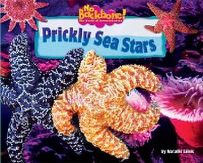 Prickly Sea Stars