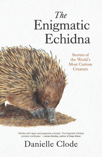 The Enigmatic Echidna