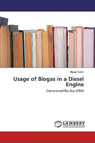Usage of Biogas in a Diesel Engine
