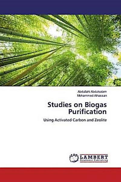 Studies on Biogas Purification