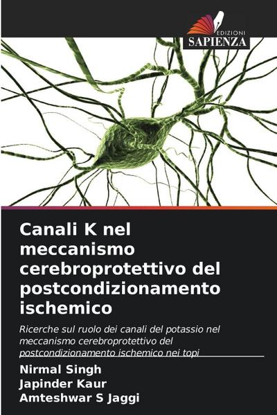 Canali K nel meccanismo cerebroprotettivo del postcondizionamento ischemico