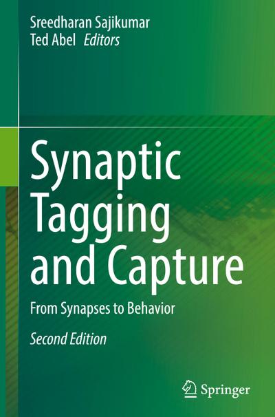 Synaptic Tagging and Capture