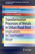Transformation Processes of Metals in Urban Road D