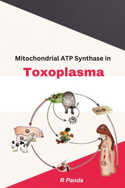 Mitochondrial ATP Synthase In Toxoplasma