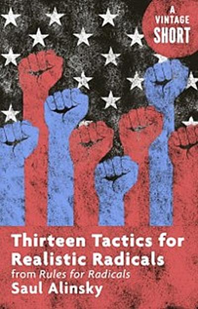 Thirteen Tactics for Realistic Radicals