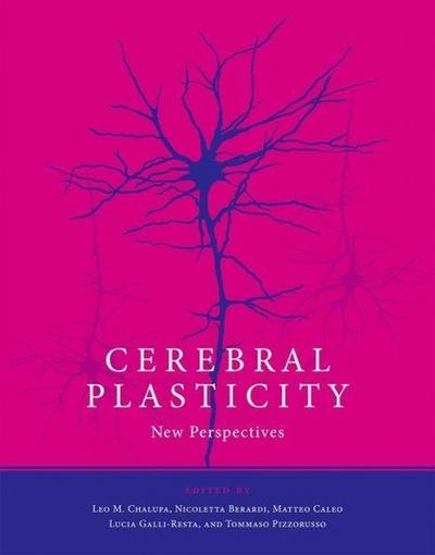 Cerebral Plasticity