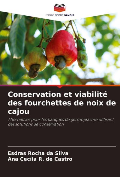 Conservation et viabilité des fourchettes de noix de cajou