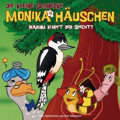 26: Warum klopft der Specht?