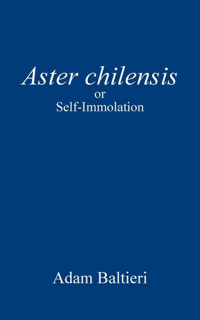 Aster chilensis