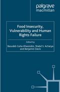 Food Insecurity, Vulnerability and Human Rights Failure