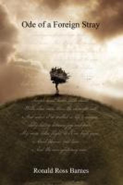 Ode of a Foreign Stray