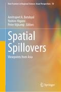 Spatial Spillovers