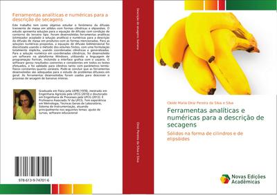 Ferramentas analíticas e numéricas para a descrição de secagens