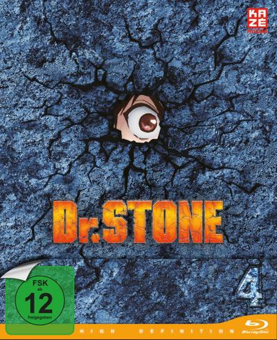 Dr. Stone