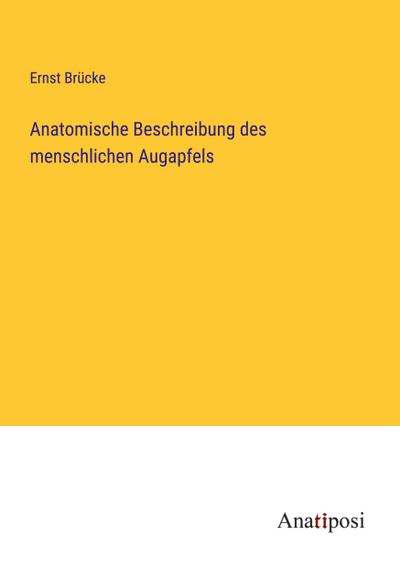 Anatomische Beschreibung des menschlichen Augapfels