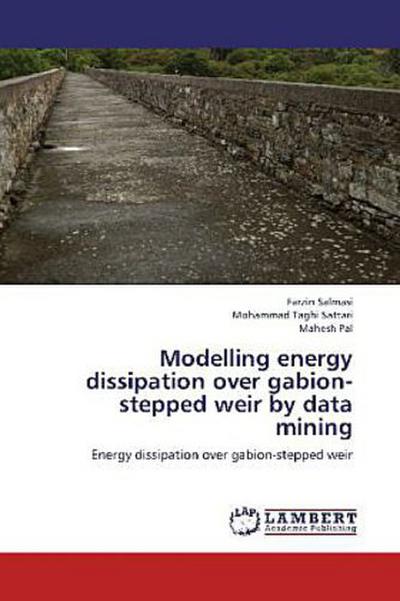 Modelling energy dissipation over gabion-stepped weir by data mining