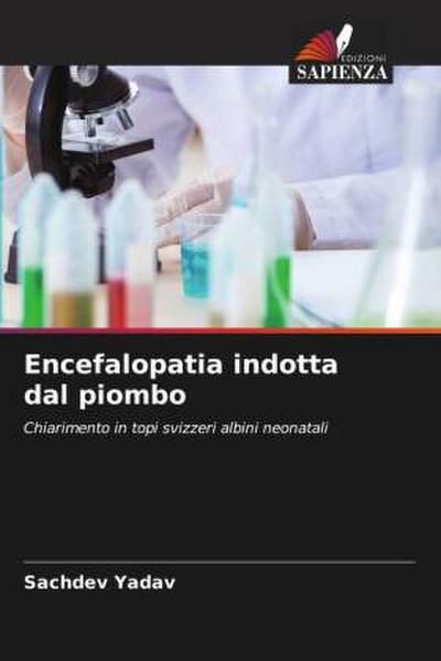 Encefalopatia indotta dal piombo