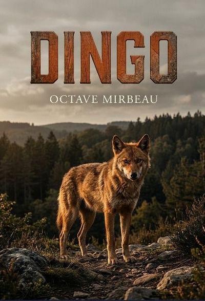 Dingo