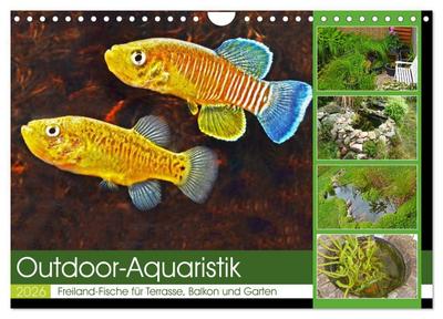 Outdoor-Aquaristik (Wandkalender 2026 DIN A4 quer), CALVENDO Monatskalender