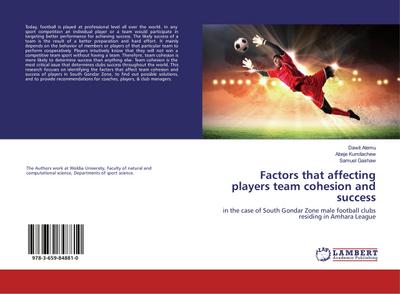 Factors that affecting players team cohesion and success