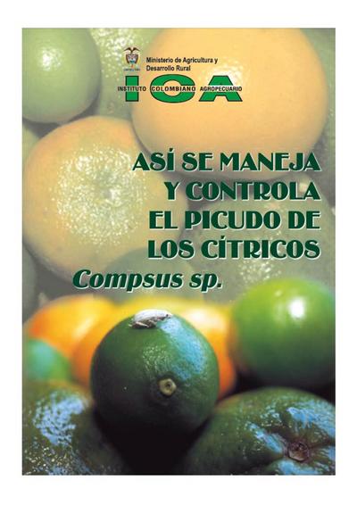 Así se maneja y controla el picudo de los cítricos Compsus sp.