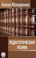 The Pedagogical Poem