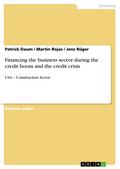 Financing the business sector during the credit bo