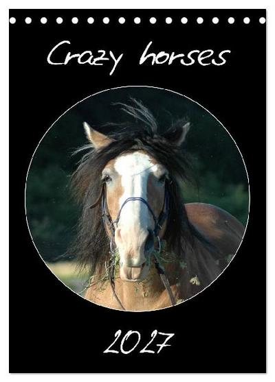Crazy horses (Tischkalender 2027 DIN A5 hoch), CALVENDO Monatskalender