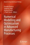 Numerical Modelling and Optimization in Advanced Manufacturing Processes