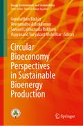 Circular Bioeconomy Perspectives in Sustainable Bioenergy Production