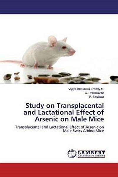Study on Transplacental and Lactational Effect of Arsenic on Male Mice