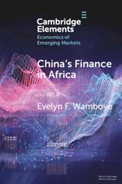 China’s Finance in Africa