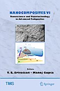 Nanocomposites VI: Nanoscience and Nanotechnology in Advanced Composites