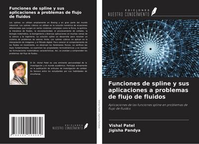 Funciones de spline y sus aplicaciones a problemas de flujo de fluidos